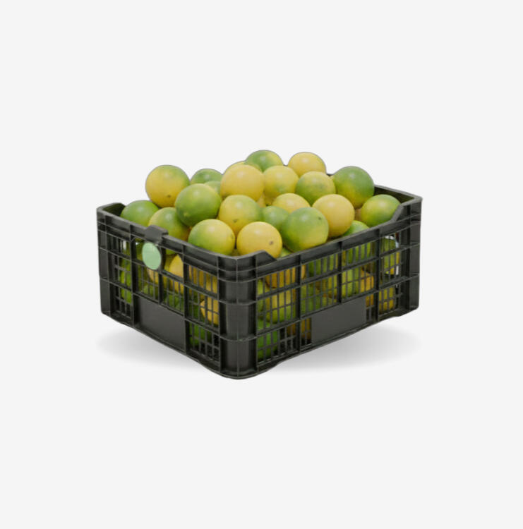 Production foto Gajo de naranja con piel en color naranjo fondo negro