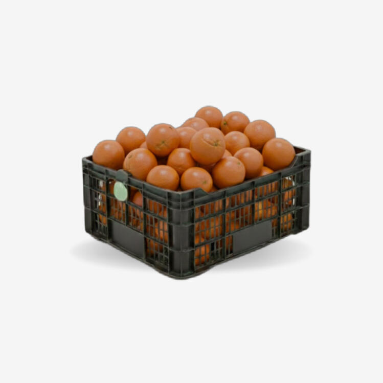 Production foto Gajo de naranja con piel en color naranjo fondo negro