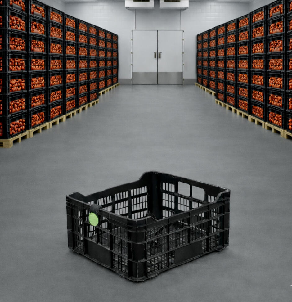 Production foto Gajo de naranja con piel en color naranjo fondo negro