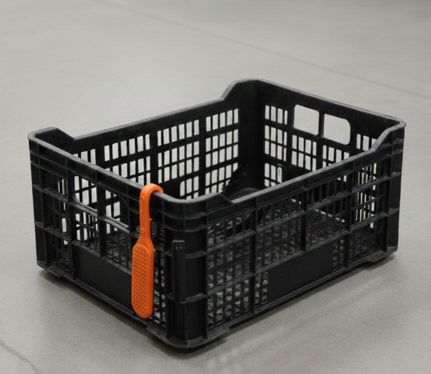 Production foto Gajo de naranja con piel en color naranjo fondo negro